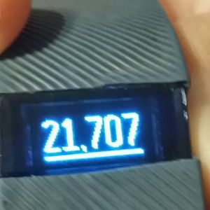 Meet your Posher, Rosie